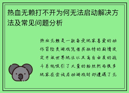 热血无赖打不开为何无法启动解决方法及常见问题分析